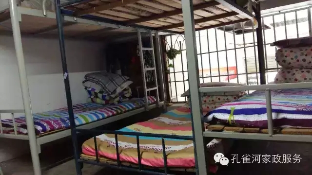 ��ȸ�Ӽ�����ķ������ů��ů��������