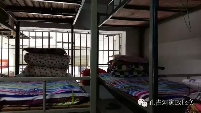 ��ȸ�Ӽ�����ķ������ů��ů�����ģ�