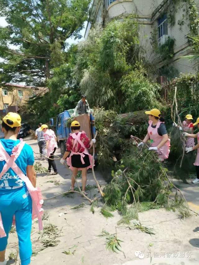 ��������y���������