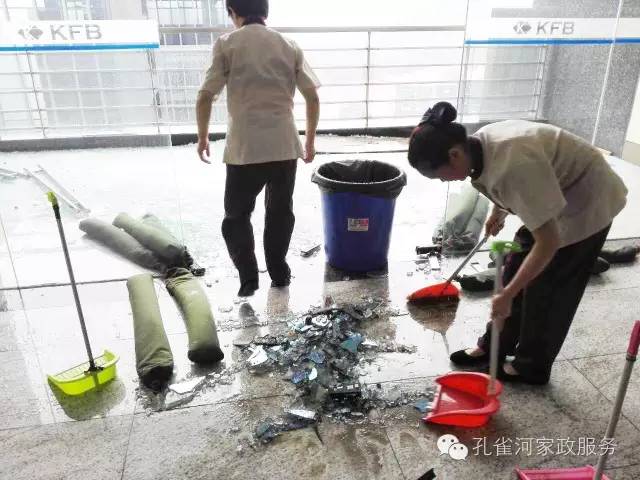 ��������y���������