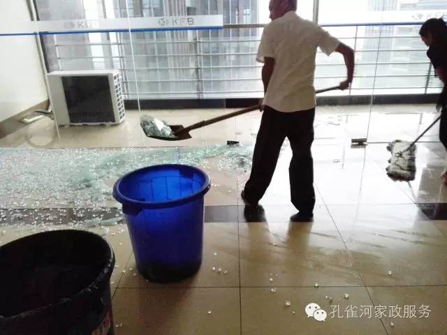 ��������y���������